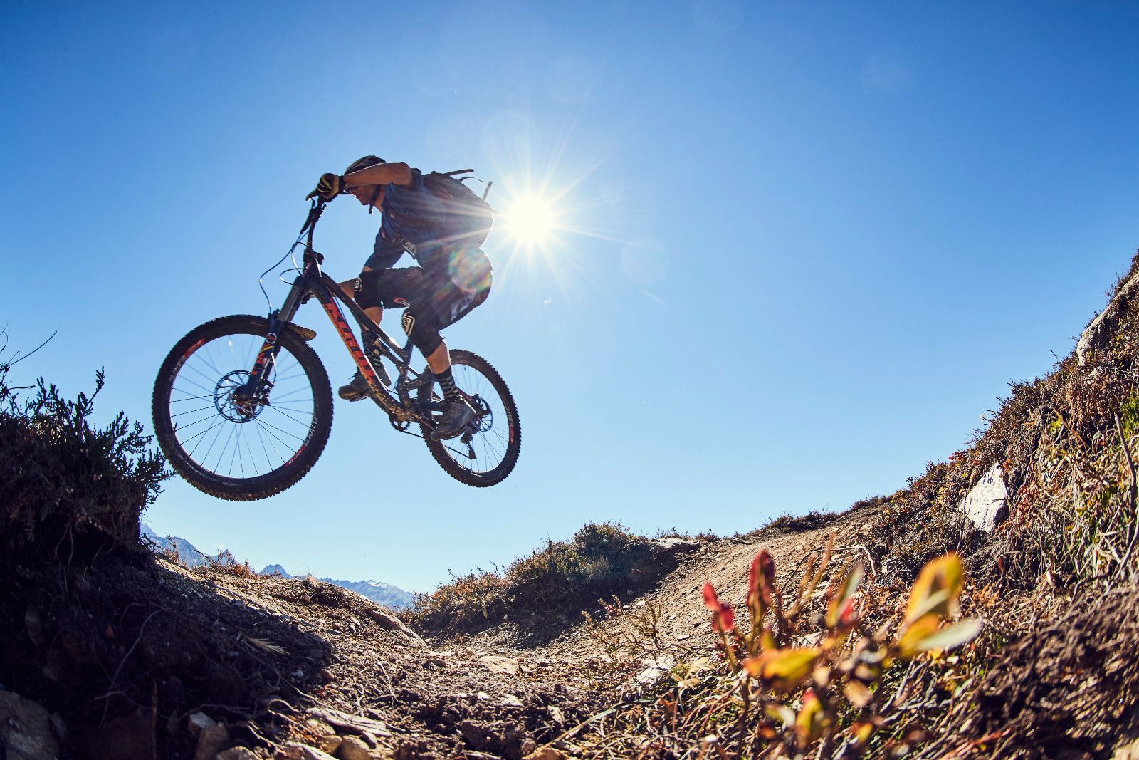 A rider silhouetted against the sun mid-jump
