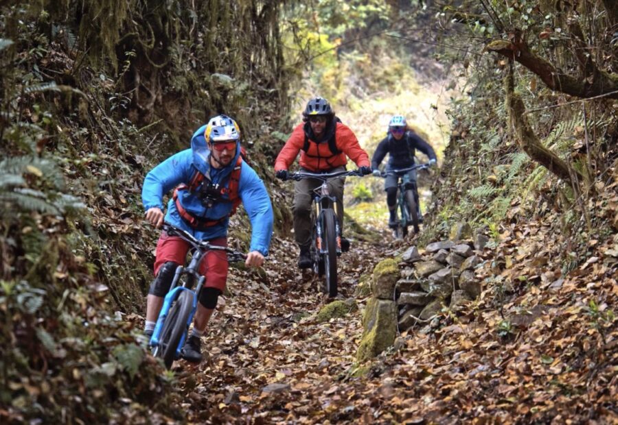 Riders drop through a pine-forest chute